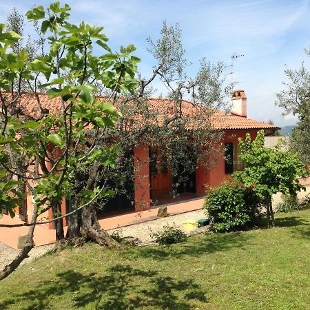 Casa Rossa Apartment Polvereto ภายนอก รูปภาพ